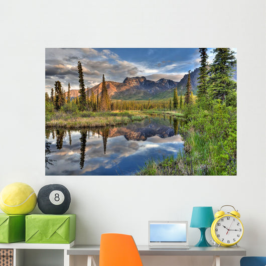 Skookum Volcano Reflecting In A Pond Wall Mural