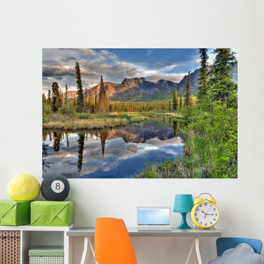 Skookum Volcano Reflecting In A Pond Wall Mural