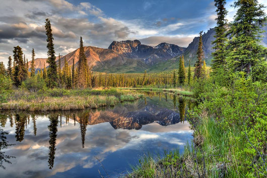 Skookum Volcano Reflecting In A Pond Wall Mural
