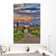 Colorful Clouds At Sunset Over The Wrangell Mountains And Nabesna Road Wall Mural