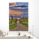 Colorful Clouds At Sunset Over The Wrangell Mountains And Nabesna Road Wall Mural