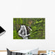 South Fork Eagle River Falls Near Eagle River Wall Mural