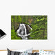 South Fork Eagle River Falls Near Eagle River Wall Mural