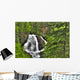South Fork Eagle River Falls Near Eagle River Wall Mural