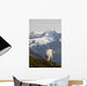 A Mountain Goat Stands On A Ridge With The Scenic Kenai Mountains Wall Mural