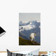 A Mountain Goat Stands On A Ridge With The Scenic Kenai Mountains Wall Mural