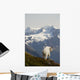 A Mountain Goat Stands On A Ridge With The Scenic Kenai Mountains Wall Mural
