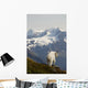 A Mountain Goat Stands On A Ridge With The Scenic Kenai Mountains Wall Mural