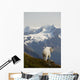 A Mountain Goat Stands On A Ridge With The Scenic Kenai Mountains Wall Mural