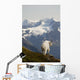 A Mountain Goat Stands On A Ridge With The Scenic Kenai Mountains Wall Mural