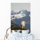 A Mountain Goat Stands On A Ridge With The Scenic Kenai Mountains Wall Mural