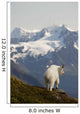 A Mountain Goat Stands On A Ridge With The Scenic Kenai Mountains Wall Mural
