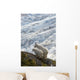 A Nanny Mountain Goat With A Young Kid Overlook A Glacier Wall Mural