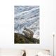 A Nanny Mountain Goat With A Young Kid Overlook A Glacier Wall Mural