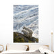 A Nanny Mountain Goat With A Young Kid Overlook A Glacier Wall Mural