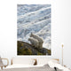 A Nanny Mountain Goat With A Young Kid Overlook A Glacier Wall Mural