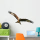 Exempted Red Kite Wall Decal