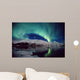 N Lights Over Portage Lake & Chugach Mtns Sc Ak Winter Wall Mural