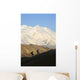 Two Hikers View Mckinley At Grassy Pass Wall Mural