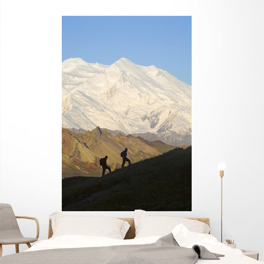 Two Hikers View Mckinley At Grassy Pass Wall Mural