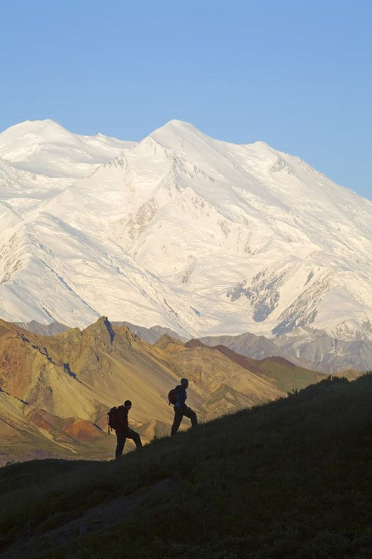 Two Hikers View Mckinley At Grassy Pass Wall Mural