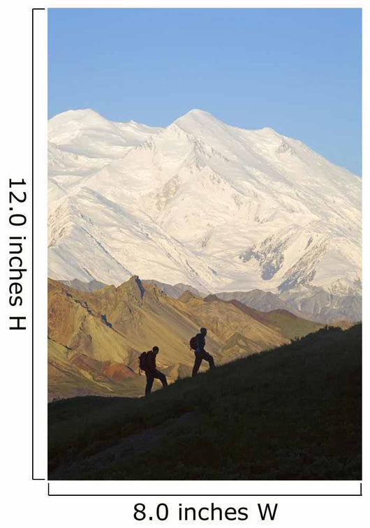 Two Hikers View Mckinley At Grassy Pass Wall Mural