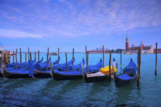 Venice Wall Mural