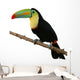 Toucan Bird Colorful White