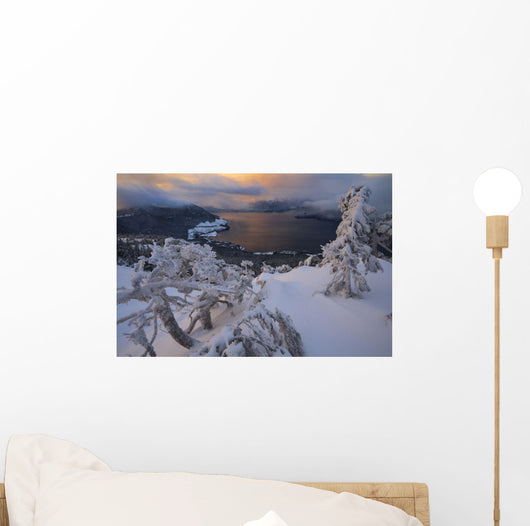Snow Covered Mountain Hemlock Trees Wall Mural