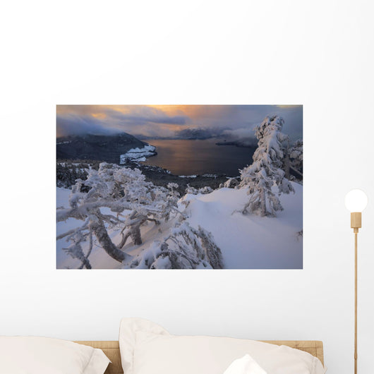 Snow Covered Mountain Hemlock Trees Wall Mural