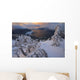 Snow Covered Mountain Hemlock Trees Wall Mural