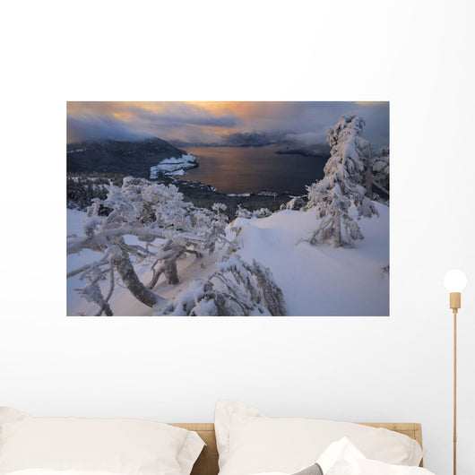 Snow Covered Mountain Hemlock Trees Wall Mural