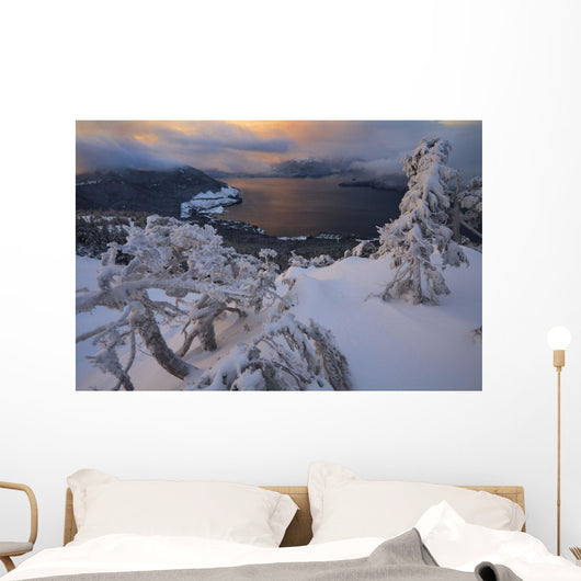 Snow Covered Mountain Hemlock Trees Wall Mural