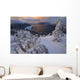 Snow Covered Mountain Hemlock Trees Wall Mural