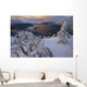 Snow Covered Mountain Hemlock Trees Wall Mural