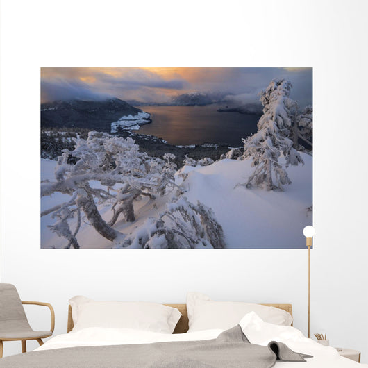 Snow Covered Mountain Hemlock Trees Wall Mural