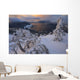 Snow Covered Mountain Hemlock Trees Wall Mural