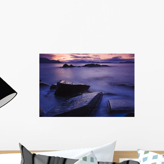Sunset Illuminates Fish Petroglyph Wall Mural