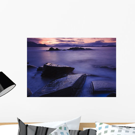 Sunset Illuminates Fish Petroglyph Wall Mural