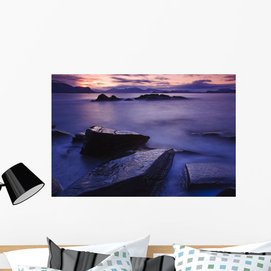 Sunset Illuminates Fish Petroglyph Wall Mural