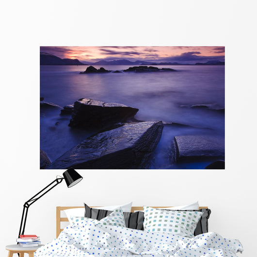 Sunset Illuminates Fish Petroglyph Wall Mural