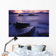 Sunset Illuminates Fish Petroglyph Wall Mural