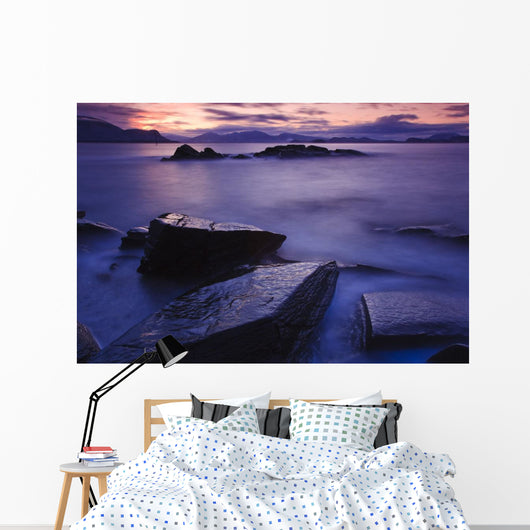 Sunset Illuminates Fish Petroglyph Wall Mural