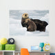 Sea Otter Mother And Pup Rest On An Ice Floe At Harvard Glacier Wall Mural