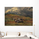 Compostie Caribou Graze On Tundra During Autumn With Mt Mckinley Wall Mural