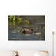Beaver Eats Willow Leaves In A Pond Wall Mural