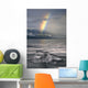View Of A Humpback Whale's Fluke As It Dives Into Frederick Sound Wall Mural