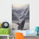Composite Humpback Whale Breaching With Mist-Covered Mountains Wall Mural