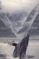 Composite Humpback Whale Breaching With Mist-Covered Mountains Wall Mural
