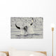 Water Spills Over The Fluke Of A Diving Killer Whale Wall Mural